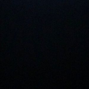 Meet your Posher, Dustin